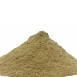 الدقة البيضاء الدقة البيضاء