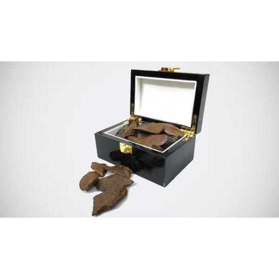 عود ماروكي محسن عود ماروكي محسن