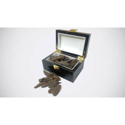 عود ازرق ماليزي محسن عود ازرق ماليزي محسن