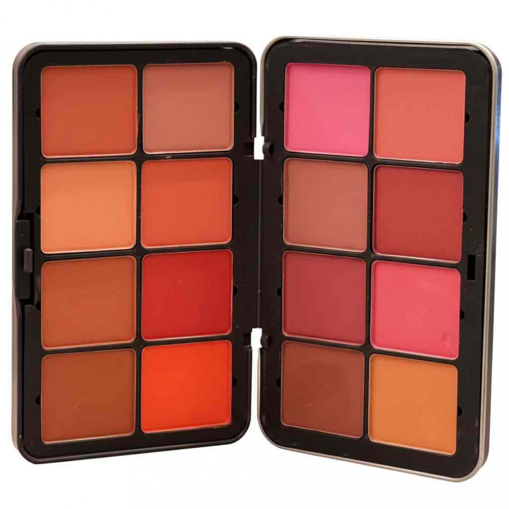 بلاشر بودره 16 لون - من ريل بيوتي 