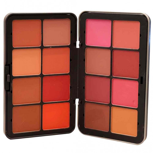 بلاشر بودره 16 لون - من ريل بيوتي 