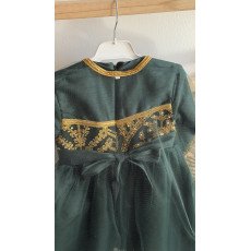 فستان شعبي أخضر مطرز مع شيلة تول 240665