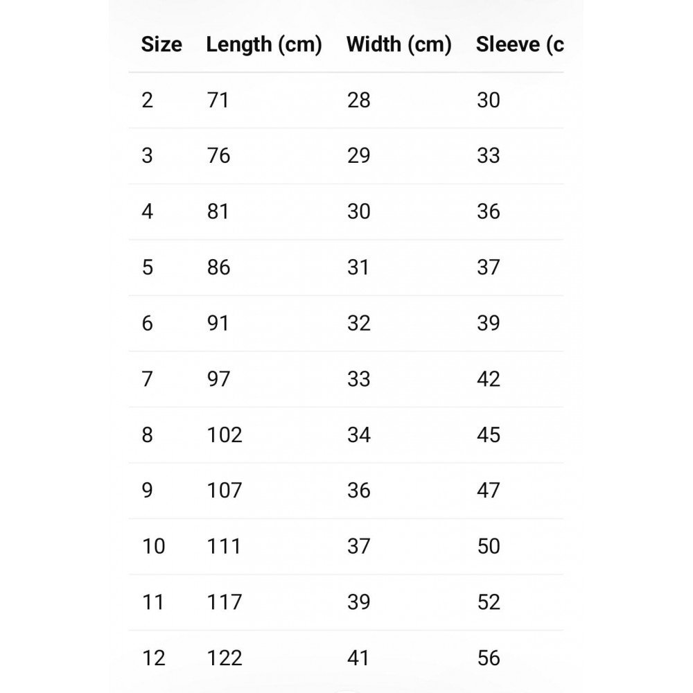 فستان شعبي مورد  ومطرز بتفاصيل ذهبية 240528