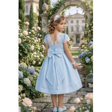 فستان - أزرق - دانتيل بفتحة ظهر 26035