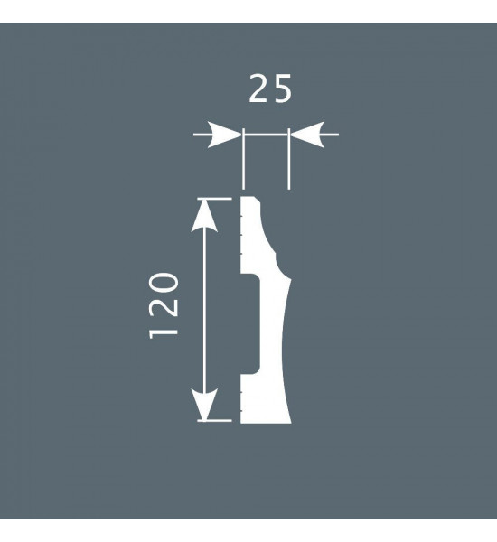 باخميس سكلو ديكور 120مم×25مم×2متر روسي P009