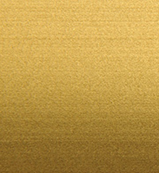 بروقرس زاوية المنيوم موكيت مع سراميك ذهبي PMGAO 813F