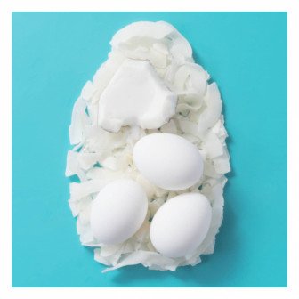 او جي اكس أورجانيكس شامبو مغذٍ + حليب جوز الهند 385 مل