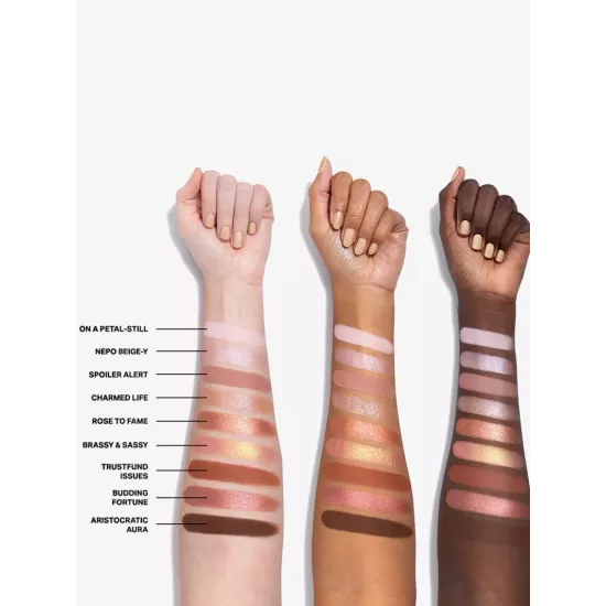 لوحة ظلال العيون روز تو ريتشيز من مورفي لوحة ظلال العيون روز تو ريتشيز من مورفي