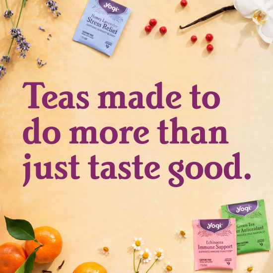 شاي عضوي لموسم البرد من يوجي 16 كيس شاي عضوي لموسم البرد من يوجي 16 كيس