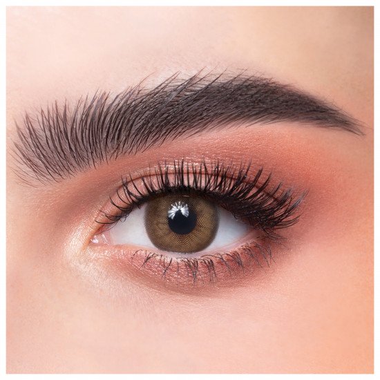 عدسات ذهب اليومية 41 كاف