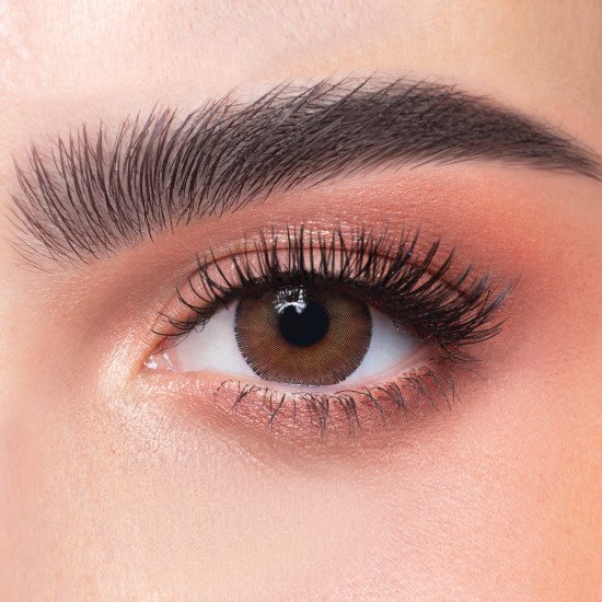 عدسات ذهب اليومية 28 أرجان 