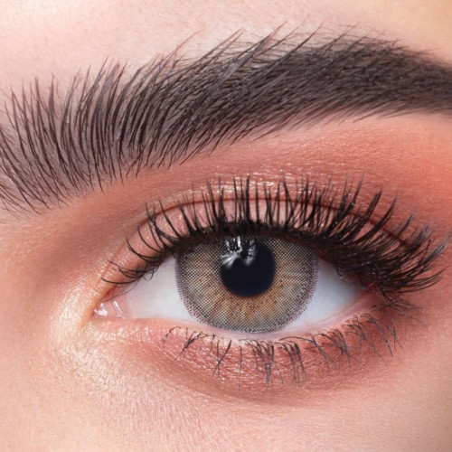 عدسات ذهب اليومية 24 بيرل