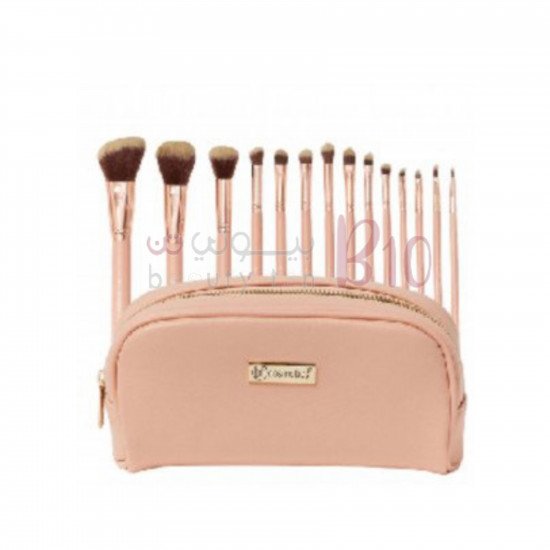 مجموعة فرش مكياج بي اتش تشيك مع حافظة من بي اتش كوزماتيكس - 14 فرشة