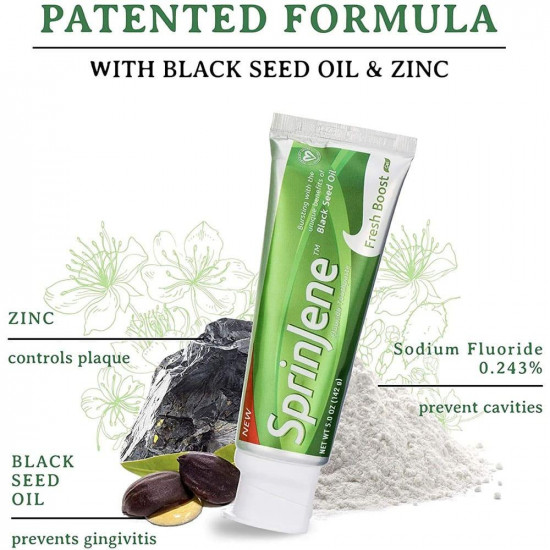 سبرينجين معجون أسنان فريش بوست بزيت حبة البركة السوداء - 142 جم