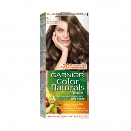 غارنييه صبغة الشعر اشقر رمادي غامق 6.1