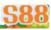 S88