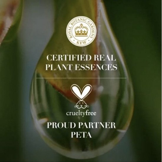 بلسم الشعر بجوز الهند من هيربل ايسنسس - ٤٠٠ مل بلسم الشعر بجوز الهند من هيربل ايسنسس - ٤٠٠ مل