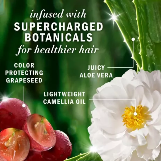 بلسم الشعر ببذور العنب هيربل اينسس - ٤٠٠ مل 