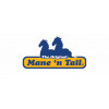 Mane in Tail