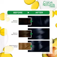 صبغة غارنييه كولور ناتشرلز أسود 1