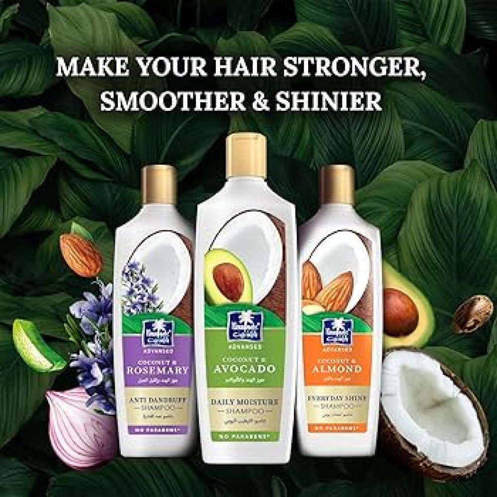 شامبو باراشوت جوز الهند والأفوكادو (ترطيب يومي) - 170مل