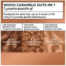 صبغة غارنييه كولور ناتشرلز - أشقر كراميل (6.31 Chestnut Blonde)