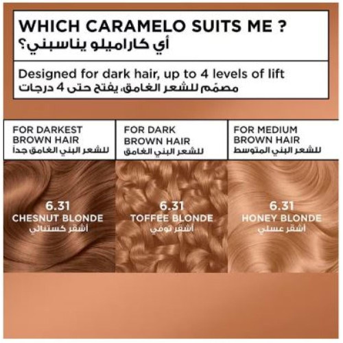 صبغة غارنييه كولور ناتشرلز - أشقر كراميل (6.31 Chestnut Blonde)