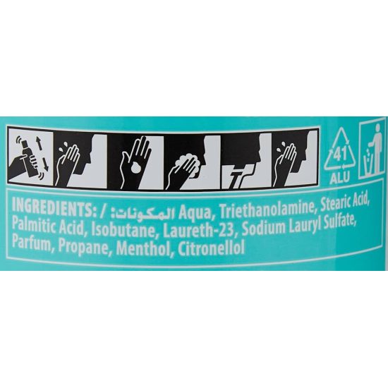 Gillette, Shaving Foam With Menthol - 200 Ml