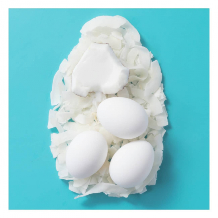 او جي اكس أورجانيكس شامبو مغذٍ + حليب جوز الهند 385 مل