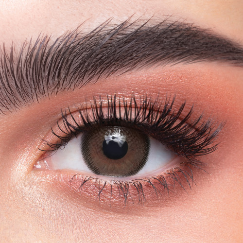 عدسات ذهب اليومية 35 كابتشينو 