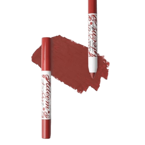 أحمر شفاه قلم مطفي ثابت من أديم-12 أحمر شفاه قلم مطفي ثابت من أديم-12