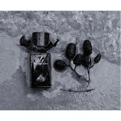 عطر مستر بيربري من بربري للرجال - او دي بارفيوم 100مل عطر مستر بيربري من بربري للرجال - او دي بارفيوم 100مل