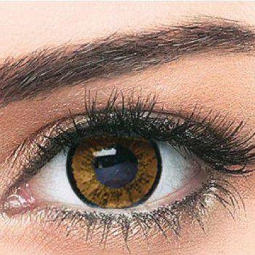 عدسات ملونة بيلا اليجانس – براون عدسات ملونة بيلا اليجانس – براون