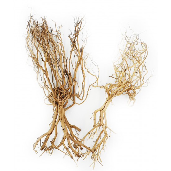 خشب متحجر من النوع Whiskers Wood لتصميم الأحواض الصغيرة خشب متحجر من النوع Whiskers Wood لتصميم الأحواض الصغيرة