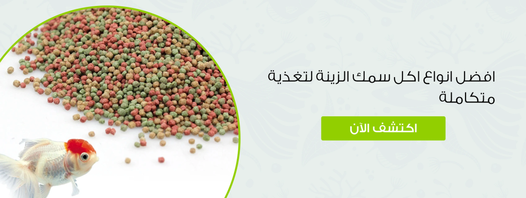 افضل انواع اكل سمك الزينة لتغذية متكاملة افضل انواع اكل سمك الزينة لتغذية متكاملة