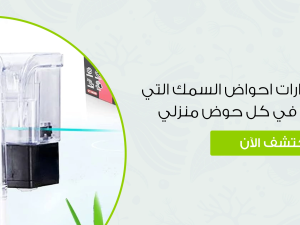 أهم اكسسوارات احواض السمك التي يجب أن تكون في كل حوض منزلي