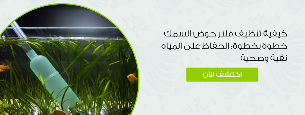 كيفية تنظيف فلتر حوض السمك خطوة بخطوة كيفية تنظيف فلتر حوض السمك خطوة بخطوة