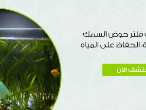 كيفية تنظيف فلتر حوض السمك خطوة بخطوة