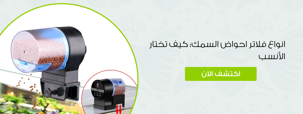 انواع فلاتر احواض السمك: كيف تختار الأنسب انواع فلاتر احواض السمك: كيف تختار الأنسب