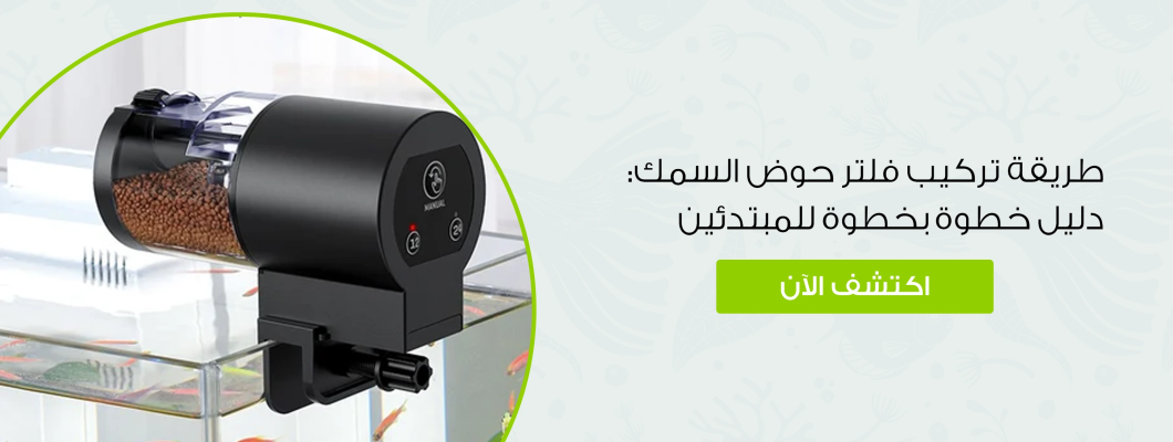 طريقة تركيب فلتر حوض السمك: دليل خطوة بخطوة للمبتدئين طريقة تركيب فلتر حوض السمك: دليل خطوة بخطوة للمبتدئين