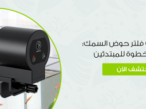 طريقة تركيب فلتر حوض السمك: دليل خطوة بخطوة للمبتدئين