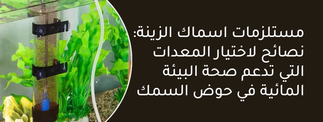 مستلزمات اسماك الزينة: نصائح لاختيار المعدات مستلزمات اسماك الزينة: نصائح لاختيار المعدات