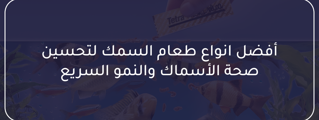 أفضل انواع طعام السمك لتحسين صحة الأسماك والنمو السريع