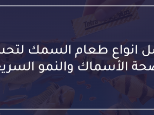 أفضل انواع طعام السمك لتحسين صحة الأسماك والنمو السريع