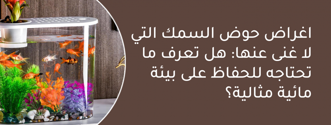 اغراض حوض السمك التي لا غنى عنها: هل تعرف ما تحتاجه؟ اغراض حوض السمك التي لا غنى عنها: هل تعرف ما تحتاجه؟