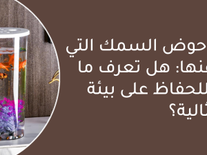 اغراض حوض السمك التي لا غنى عنها: هل تعرف ما تحتاجه؟