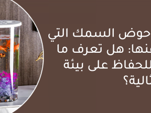 اغراض حوض السمك التي لا غنى عنها: هل تعرف ما تحتاجه؟ اغراض حوض السمك التي لا غنى عنها: هل تعرف ما تحتاجه؟