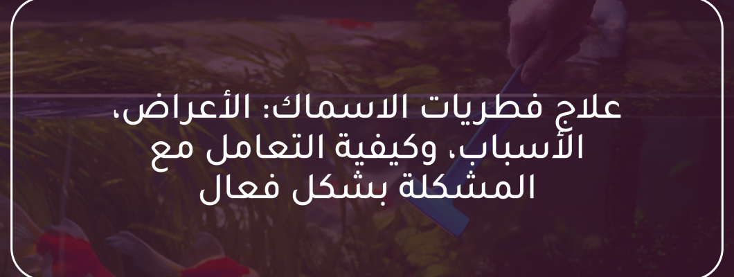 علاج فطريات الاسماك: الأعراض الأسباب وكيفية التعامل مع المشكلة علاج فطريات الاسماك: الأعراض الأسباب وكيفية التعامل مع المشكلة