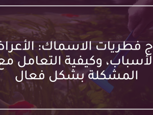 علاج فطريات الاسماك: الأعراض الأسباب وكيفية التعامل مع المشكلة