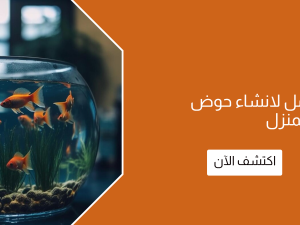الدليل الشامل لانشاء حوض سمك في المنزل
